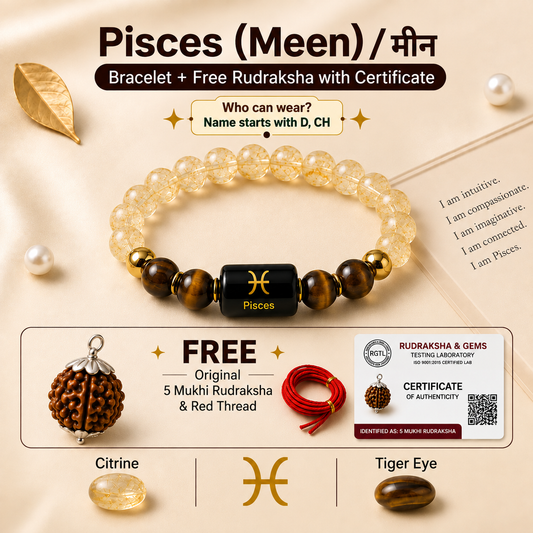 Pisces (मीन राशि) Zodiac Citrine & Tiger Eye Bracelet with Free Rudraksha