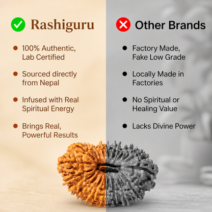 Siddh 19 Mukhi Rudraksha