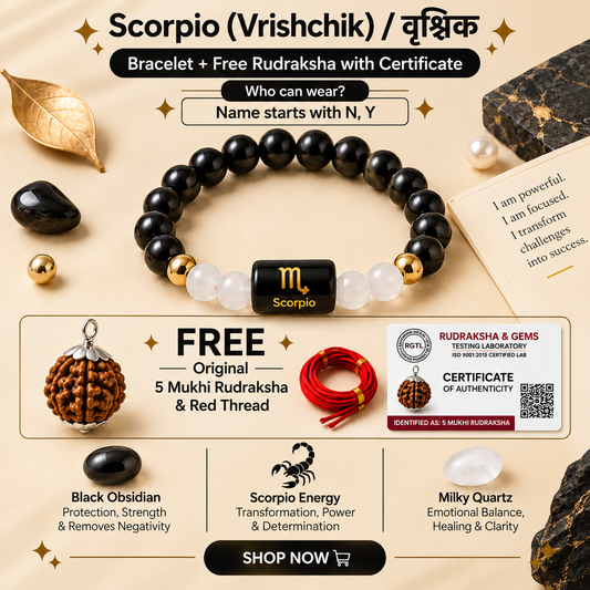 Scorpio (वृश्चिक राशि) Zodiac Black Obsidian & Milky Quartz Bracelet with Free 5 Mukhi Rudraksha