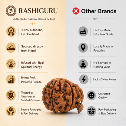 Siddh Ganesh Mukhi Rudraksha