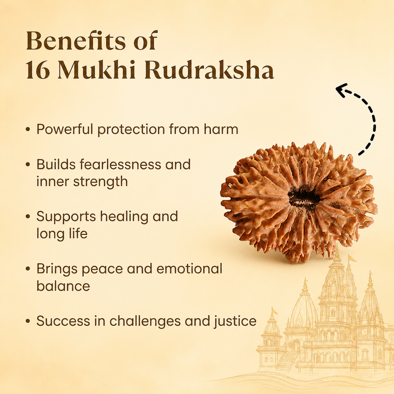 Siddh 16 Mukhi Rudraksha