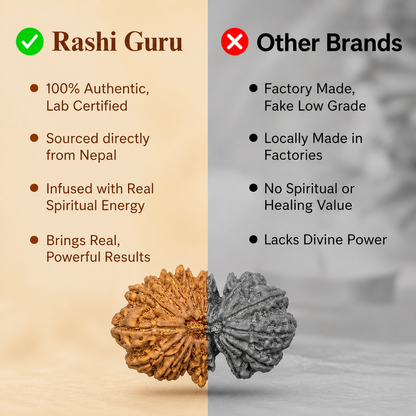 Siddh 18 Mukhi Rudraksha