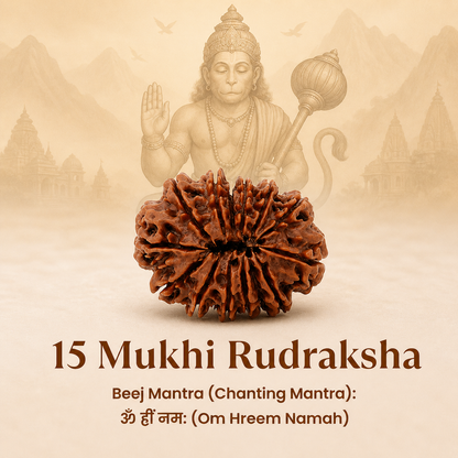 Siddh 15 Mukhi Rudraksha