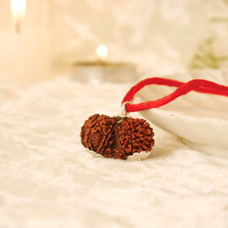 Siddh Gauri Shankar Rudraksha