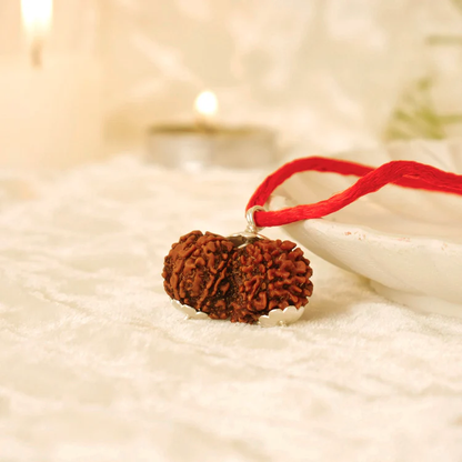 Siddh Gauri Shankar Rudraksha