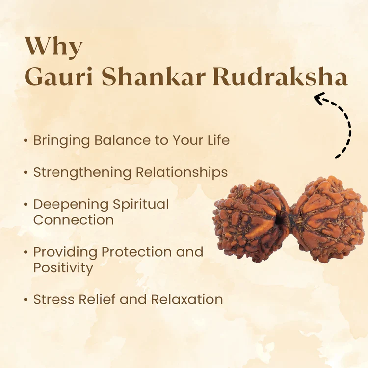 Siddh Gauri Shankar Rudraksha