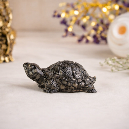 Vastu Pyrite Tortoise (Kachhua)