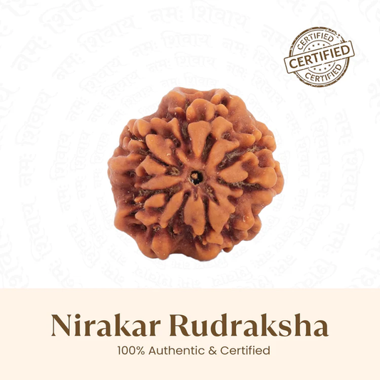 Siddh Nirakar Rudraksha (0 Mukhi)