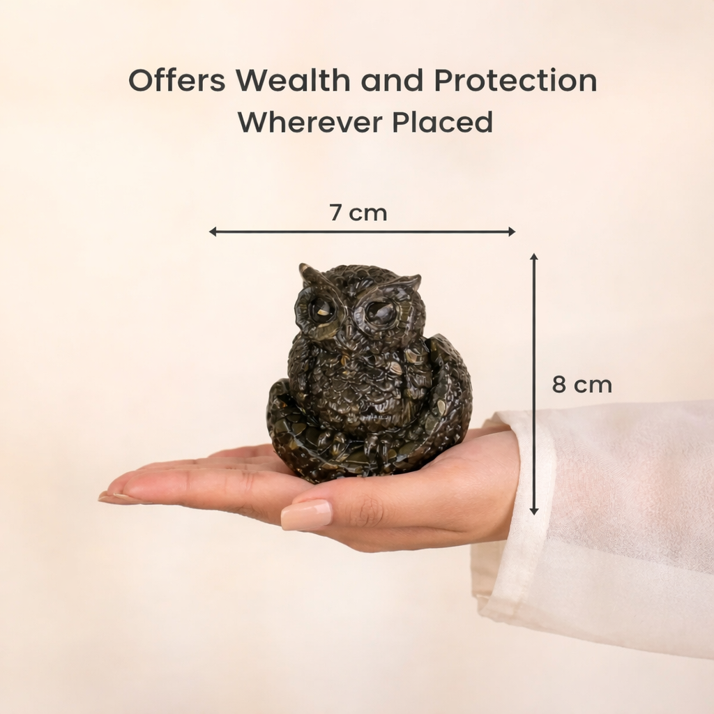 Pyrite Owl & Vastu Kachhua Combo – Wealth, Wisdom & Positive Energy