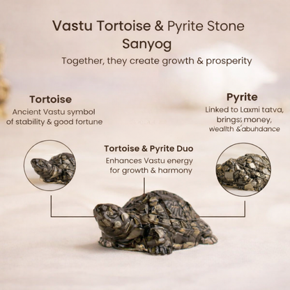 Vastu Pyrite Tortoise (Kachhua)
